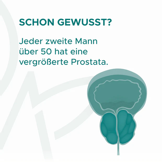 Menvigo Prosta - Bild 2